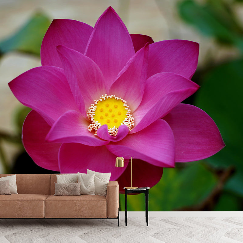 Modern Lotus Mural Wallpaper Stain Resistant Wall Covering for Living Room