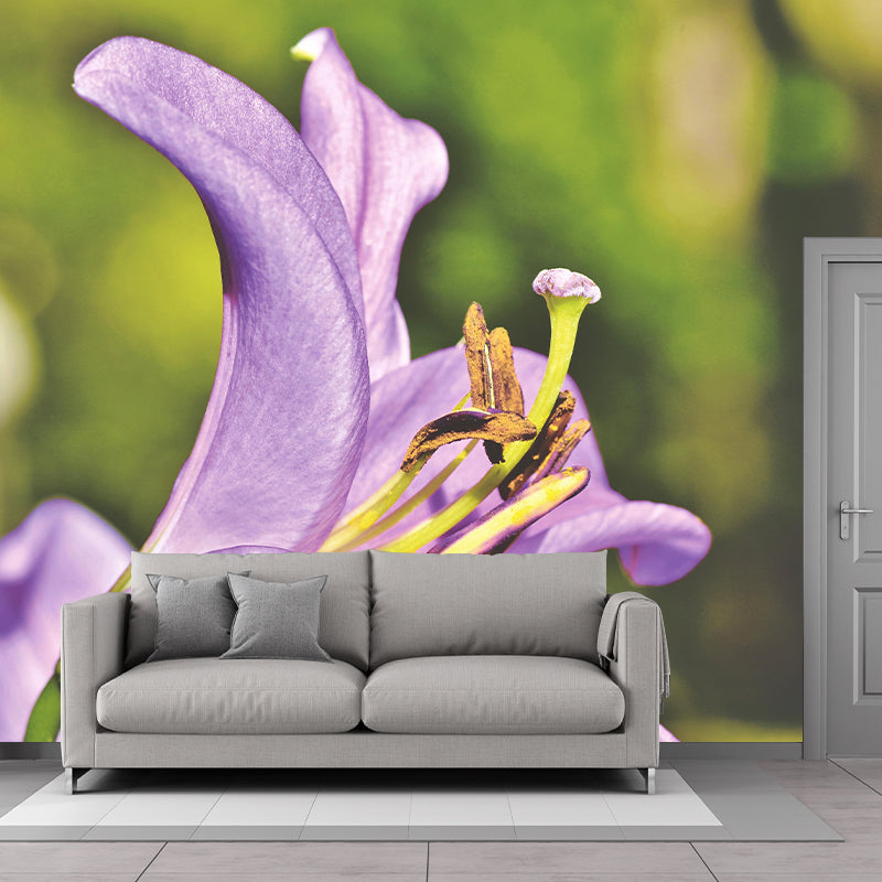 Lily Blooming Mural Wallpaper Stain Resistant Wall Covering for Sitting Room
