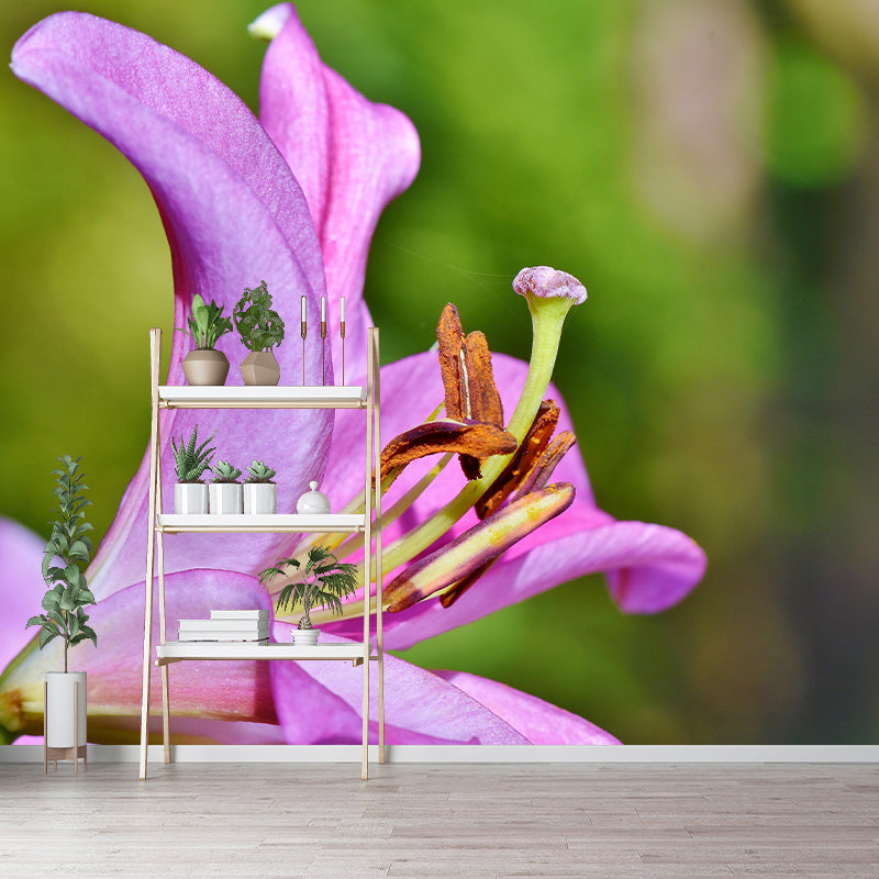 Lily Blooming Mural Wallpaper Stain Resistant Wall Covering for Sitting Room