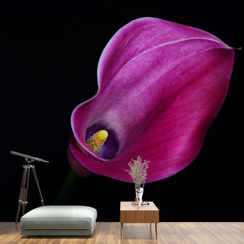 Modern Calla Lily Mural Wallpaper Stain Resistant Wall Covering for Room
