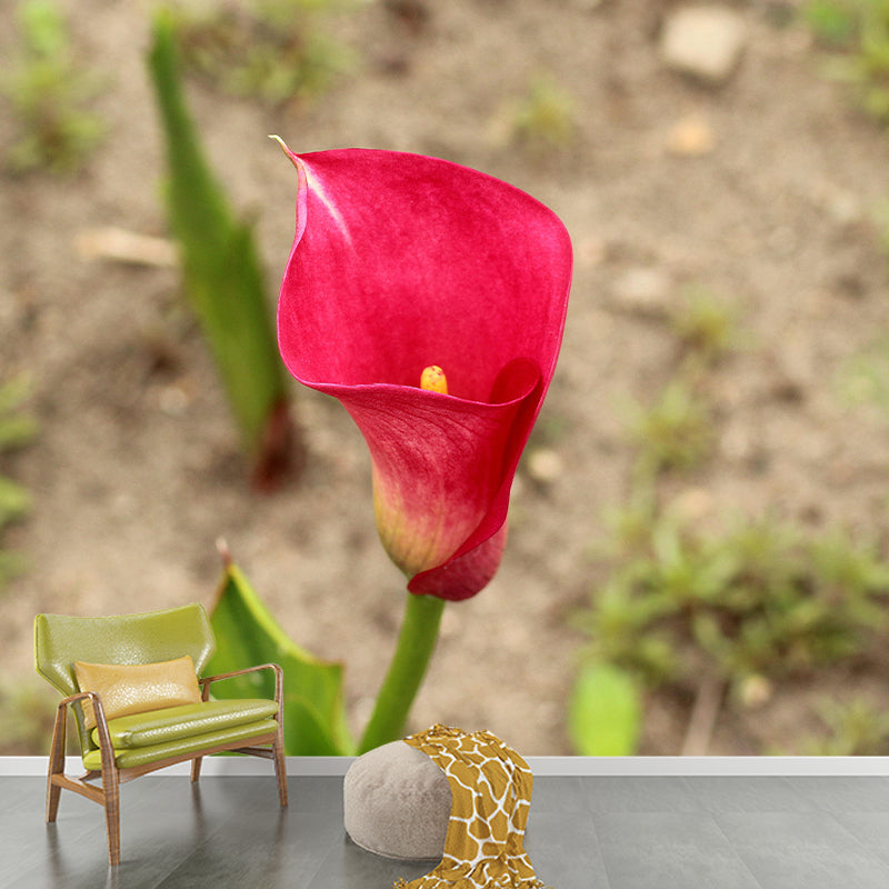 Modern Calla Lily Mural Wallpaper Stain Resistant Wall Covering for Room