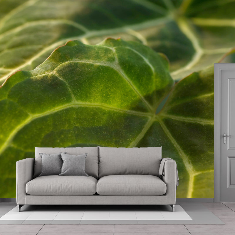 Leaves Plant Wallpaper Murals Stain Resistant Wall Covering for Living Room