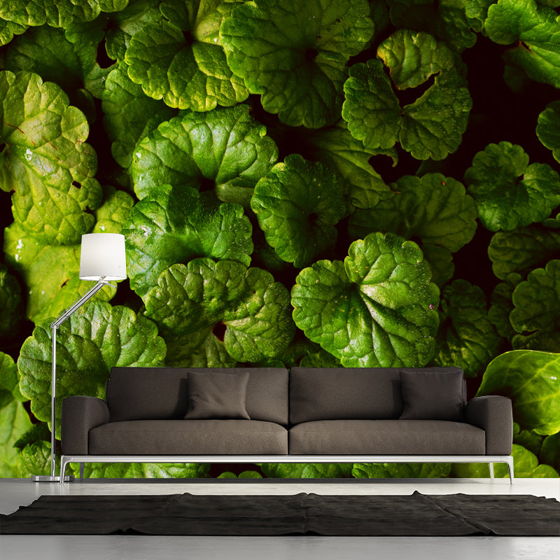 Leaves Murals Full Size Sitting Room Home Decor, Custom Size Available