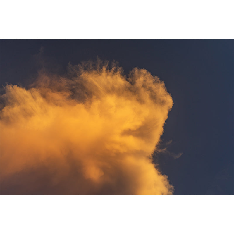 Sky View Moisture Resistant Wall Covering for Bedroom, Custom Size Available