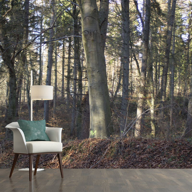 Forest Wall Paper Murals Moisture Resistant Wall Decor for Sleeping Room