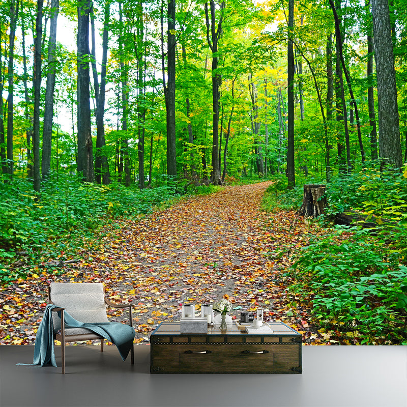 Modern Forest Trees Wall Covering for Home Wall Decor, Moisture Resistant