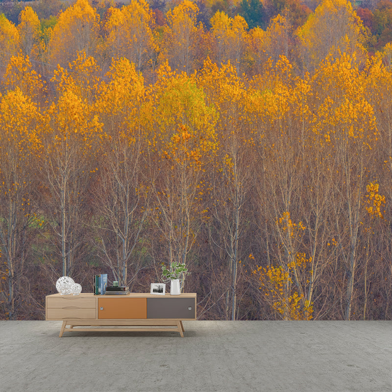 Modern Forest Trees Wall Covering for Home Wall Decor, Moisture Resistant