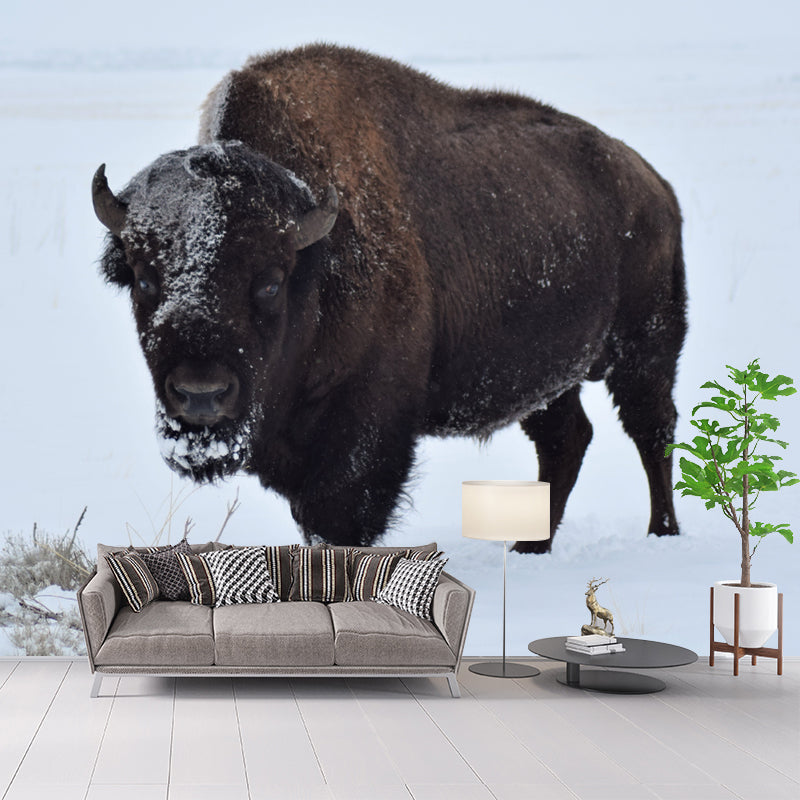 Bison Animal Contemporary Wall Art Personalized Size Mural Wallpaper for Sitting Room
