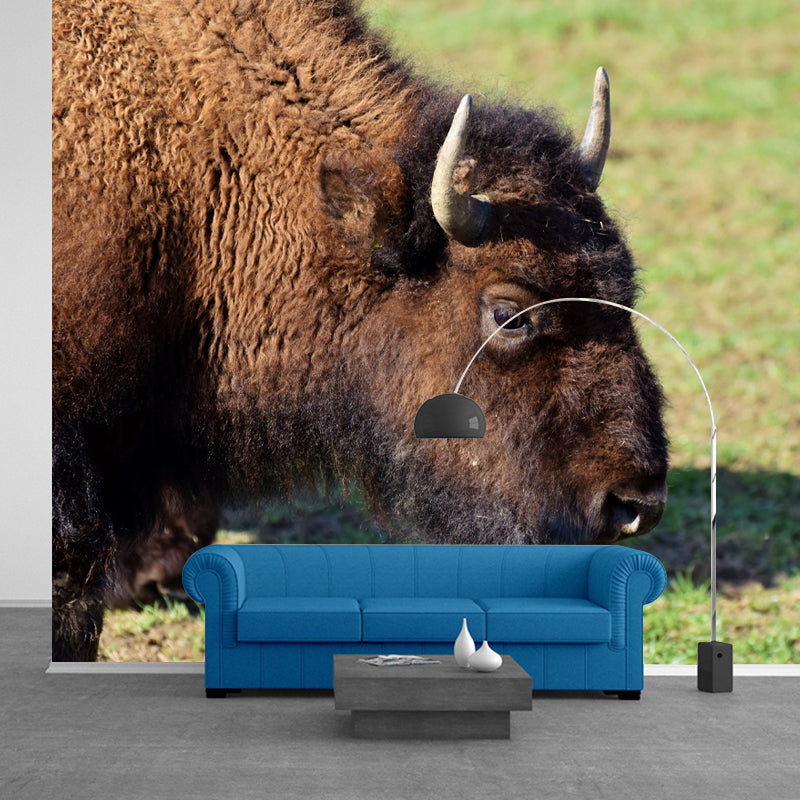 Bison Animal Contemporary Wall Art Personalized Size Mural Wallpaper for Sitting Room