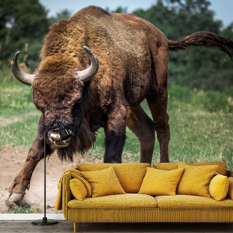 Bison Animal Contemporary Wall Art Personalized Size Mural Wallpaper for Sitting Room