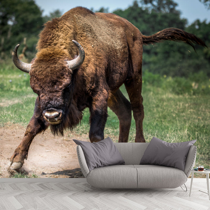 Bison Animal Contemporary Wall Art Personalized Size Mural Wallpaper for Sitting Room