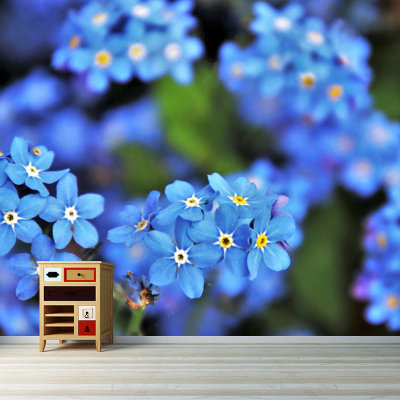 Forget Me Not Mural Personalized Size Wall Covering for Sleeping Room