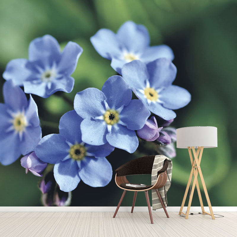 Forget Me Not Flower Mural Wallpaper Personalized Size Wall Covering for Bedroom