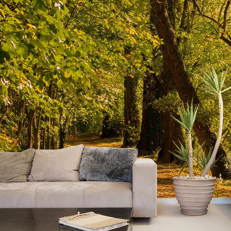 Contemporary Forest Wall Mural Environment Friendly Wallpaper for Bedroom