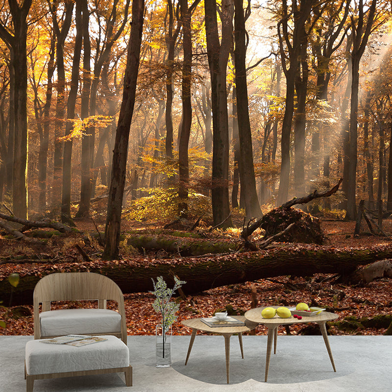 Mildew Resistant Forest Mural Wall Covering Decorative for Wall Decor