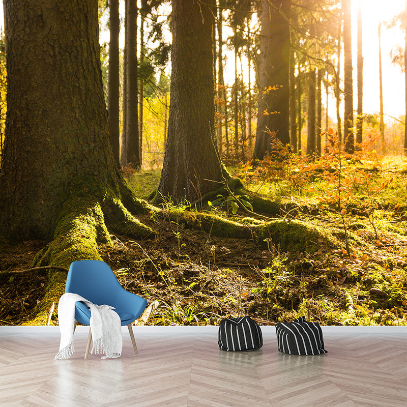 Customized Forest Mural Wall Covering Decorative Mildew Resistant for Decoration