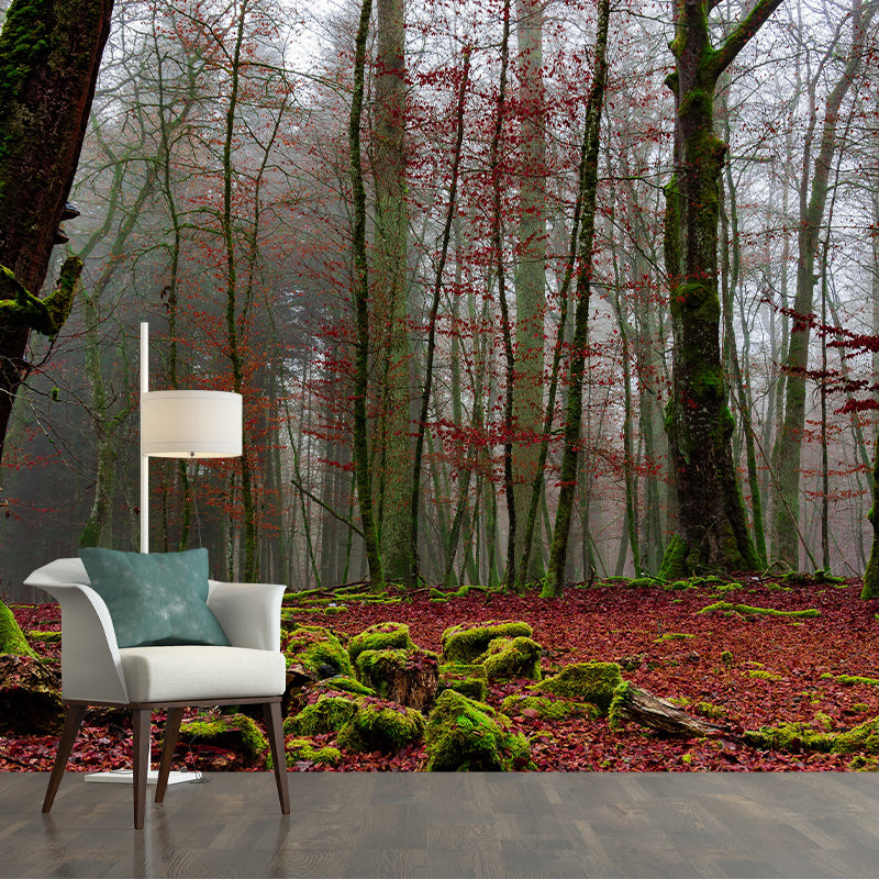 Customized Forest Mural Wall Covering Decorative Mildew Resistant for Decoration
