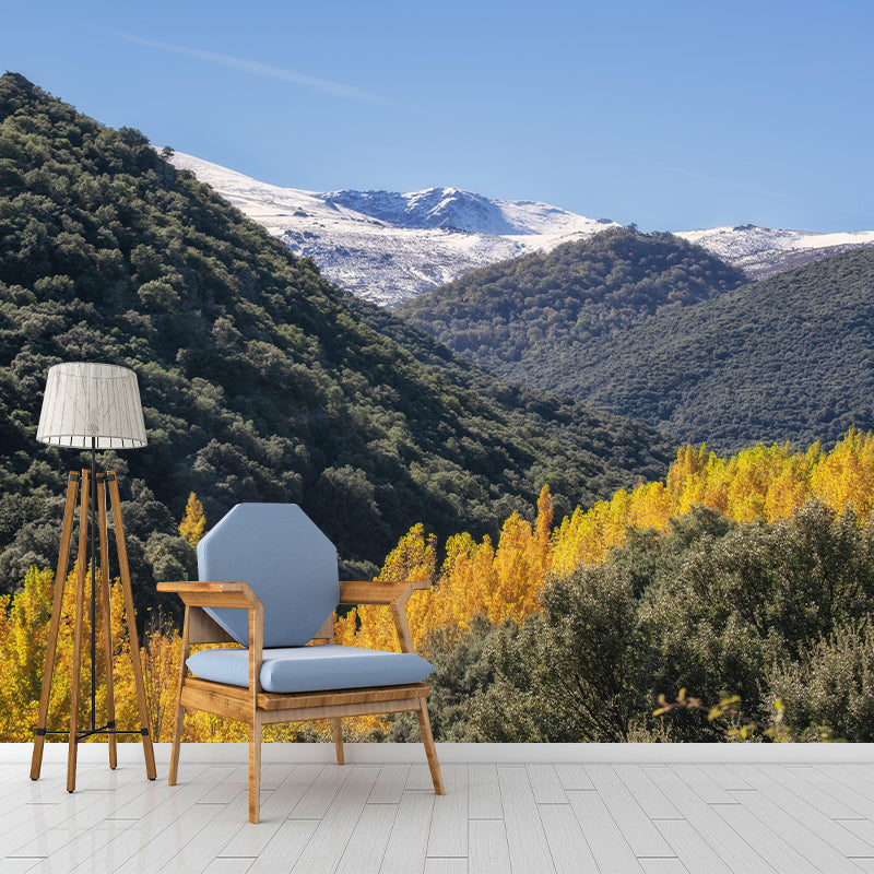 Forest Mural Wall Covering Decorative Mildew Resistant for Home Room