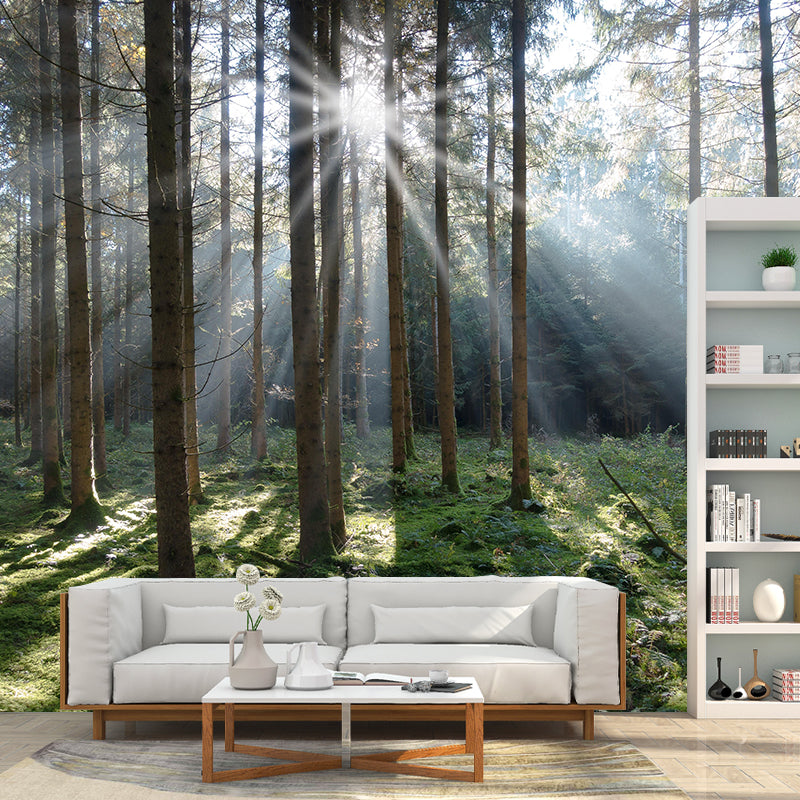 Customized Forest Mural Wall Covering Decorative Mildew Resistant for Bedroom