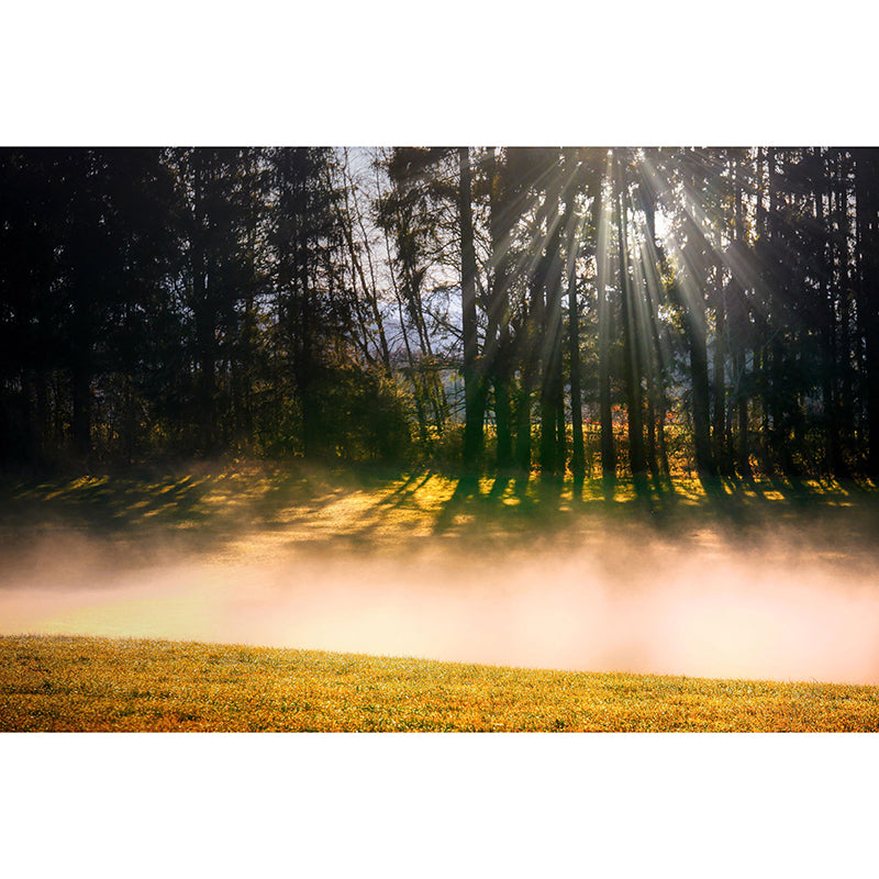 Customized Forest Mural Wall Covering Decorative Mildew Resistant for Bedroom