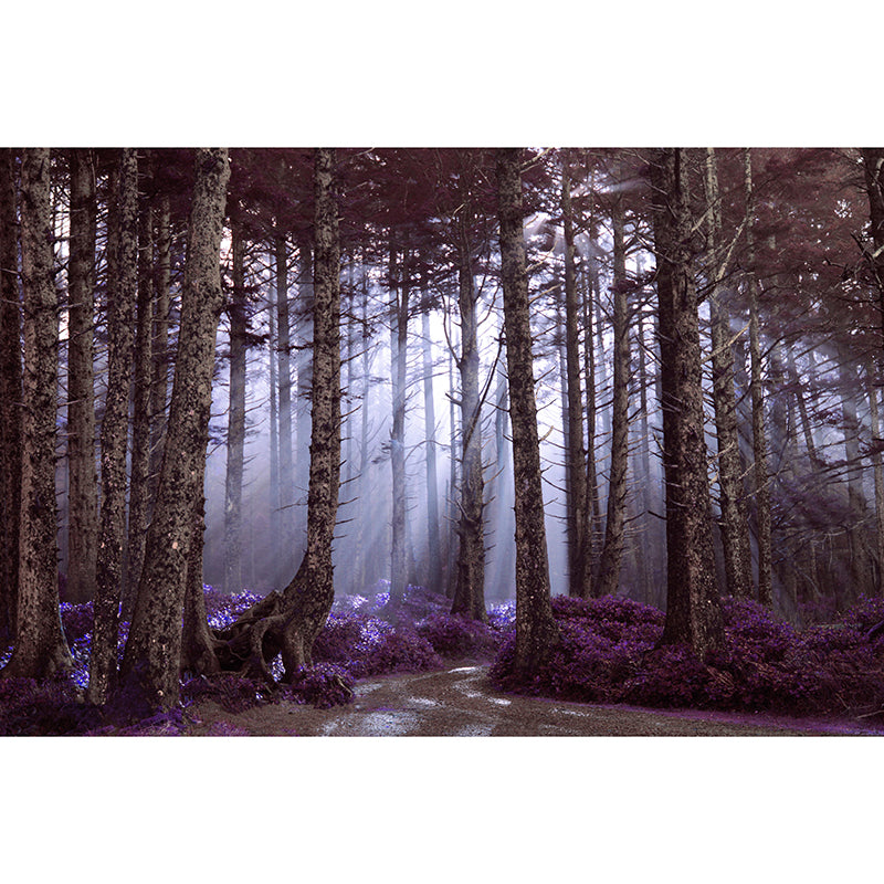 Photography Forest Mural Wallpaper for Room Wall Covering in Soft Color