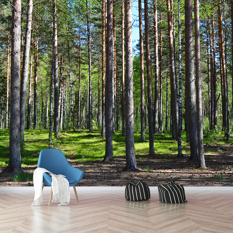 Contemporary Forest Wall Mural Environment Friendly Wallpaper for Sitting Room