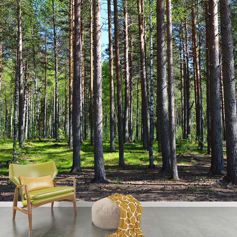 Contemporary Forest Wall Mural Environment Friendly Wallpaper for Sitting Room