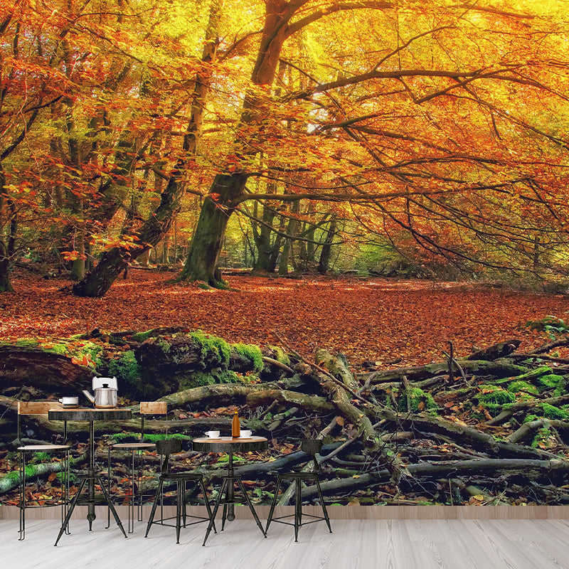 Photography Forest Mural Wallpaper for Living Room Wall Covering in Soft Color