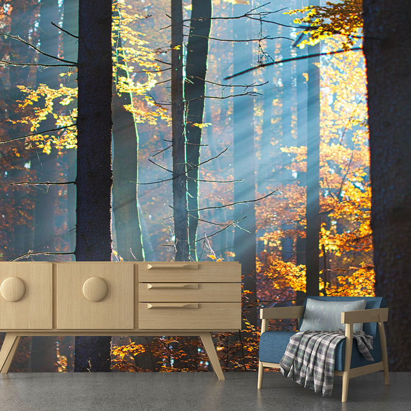 Photography Forest Mural Wallpaper for Living Room Wall Covering in Soft Color