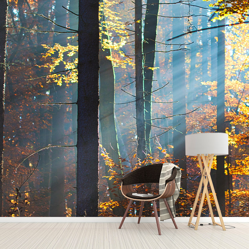 Photography Forest Mural Wallpaper for Living Room Wall Covering in Soft Color