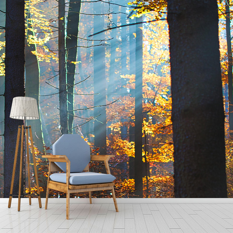 Photography Forest Mural Wallpaper for Living Room Wall Covering in Soft Color