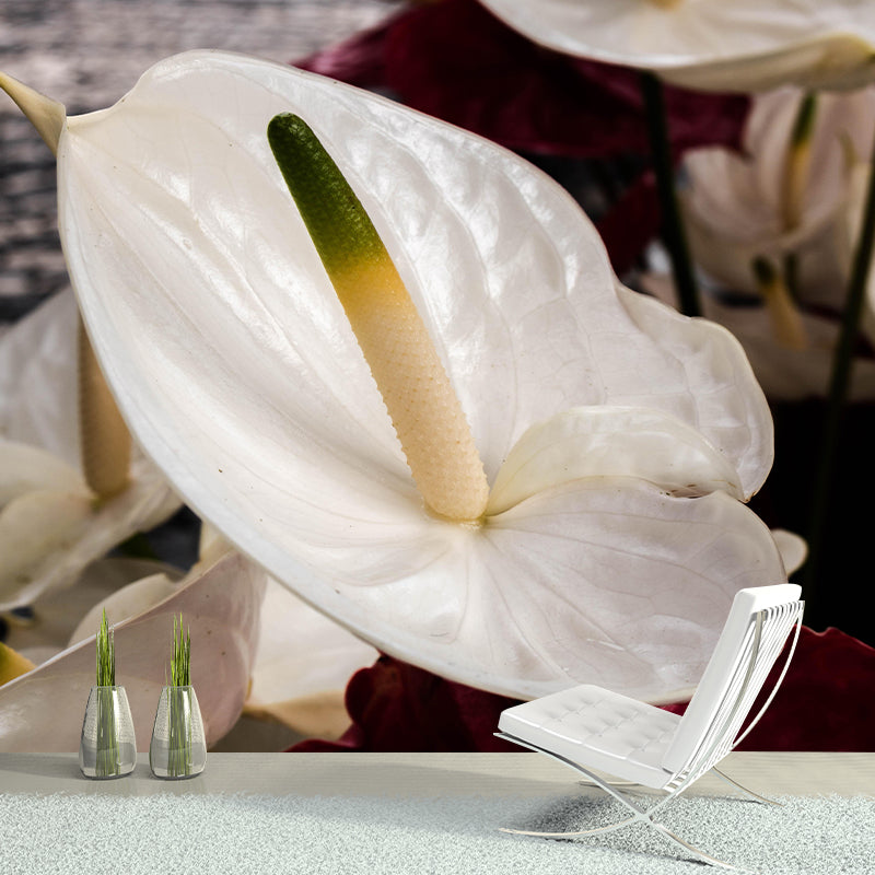 Customized Anthurium Mural Wall Covering Decorative Mildew Resistant for Living Room