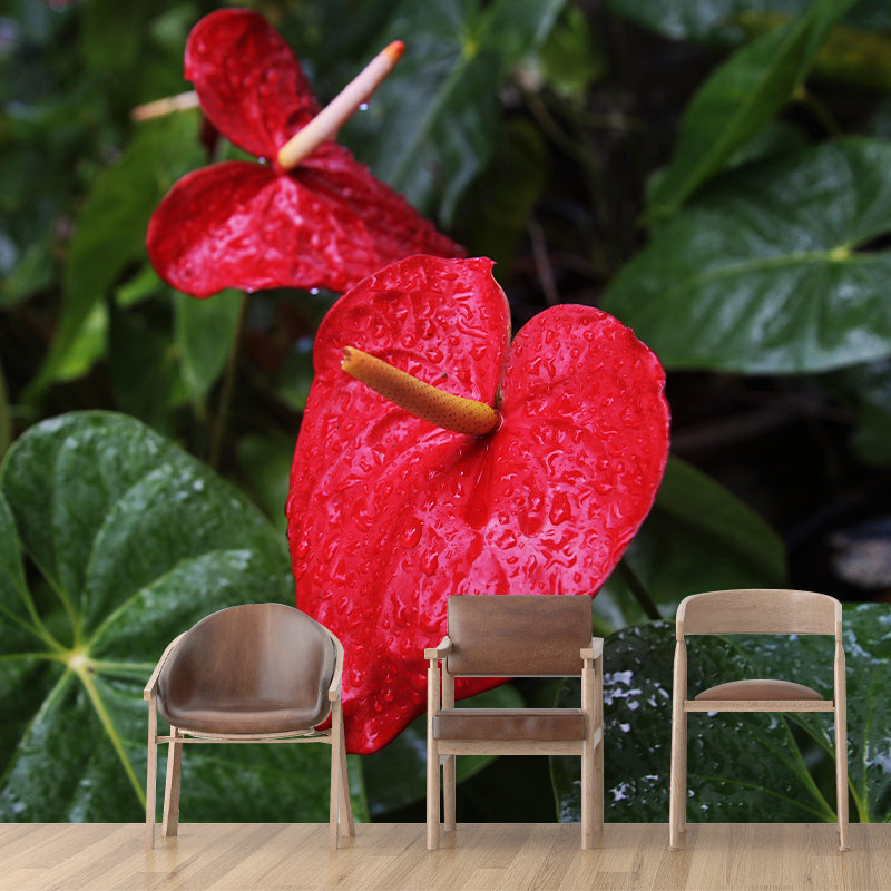 Customized Anthurium Mural Wall Covering Decorative Mildew Resistant for Living Room