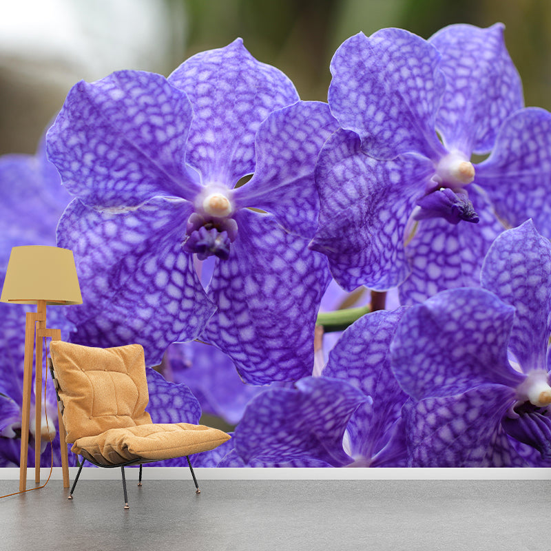 Customized Orchid Mural Wall Covering Decorative Mildew Resistant for Living Room