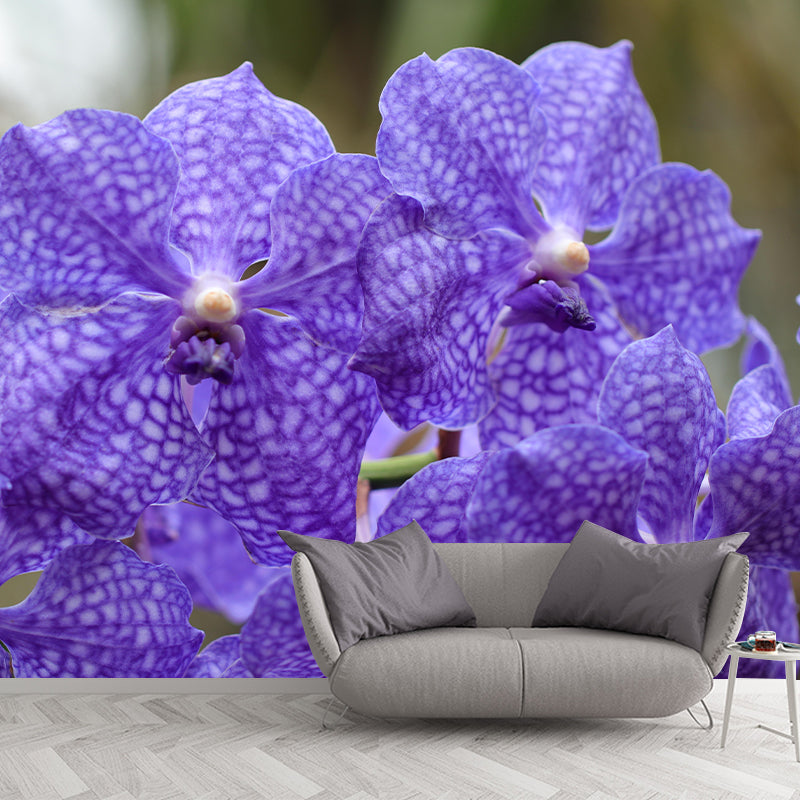 Customized Orchid Mural Wall Covering Decorative Mildew Resistant for Living Room