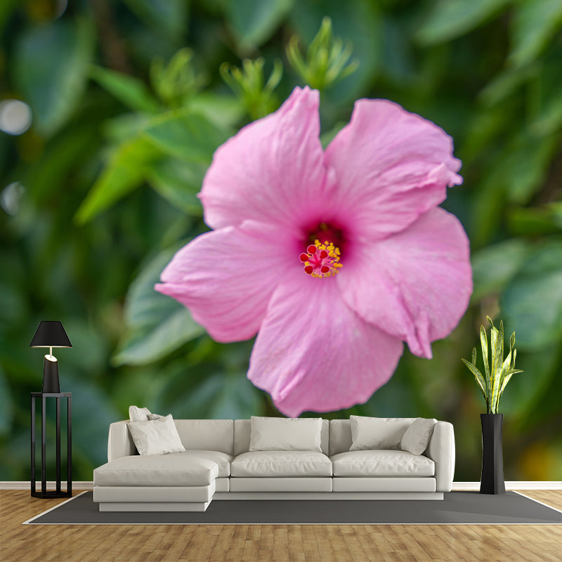 Customized Hibiscus Mural Wall Covering Decorative Mildew Resistant for Living Room