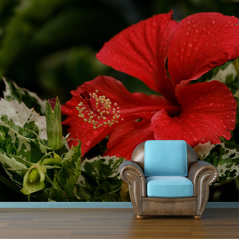Customized Hibiscus Mural Wall Covering Decorative Mildew Resistant for Living Room