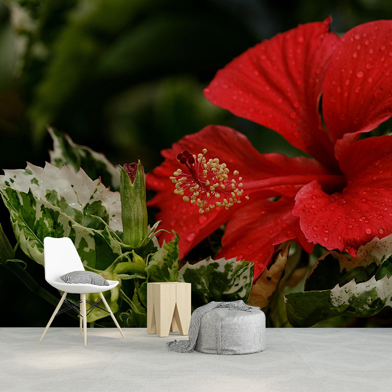 Customized Hibiscus Mural Wall Covering Decorative Mildew Resistant for Living Room