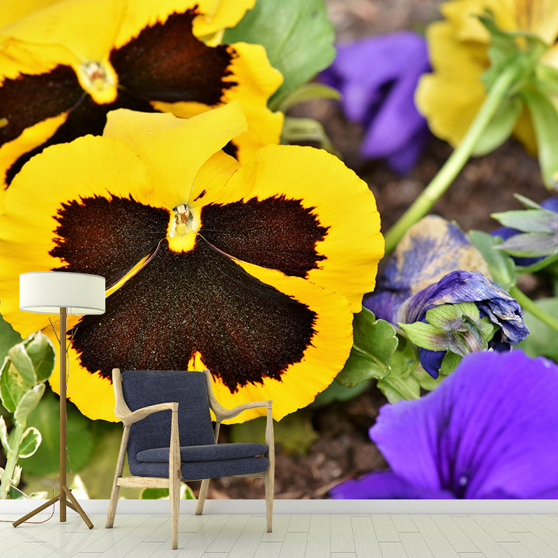 Customized Pansy Mural Wall Covering Decorative Mildew Resistant for Living Room
