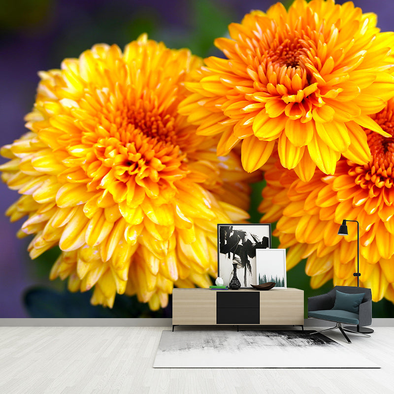 Customized Dahlias Mural Wall Covering Decorative Mildew Resistant for Living Room