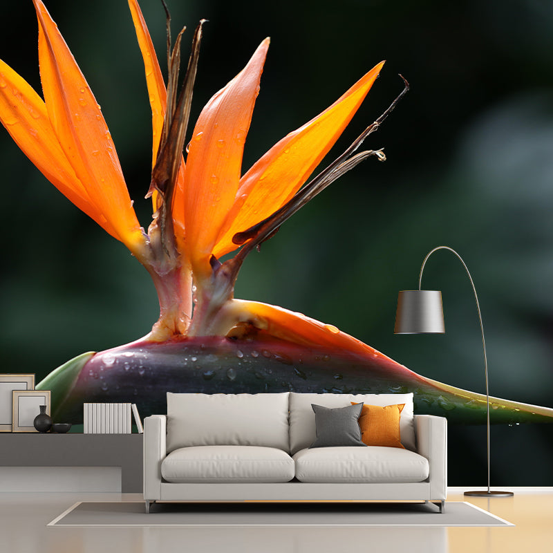 Bird of Paradise Flower Mural Wall Covering Decorative Mildew Resistant for Living Room