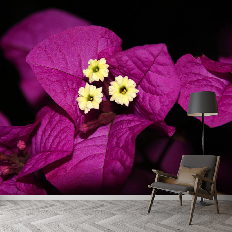Customized Bougainvillea Mural Wall Covering Decorative Mildew Resistant for Living Room