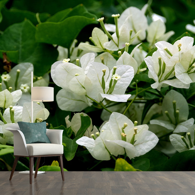 Customized Bougainvillea Mural Wall Covering Decorative Mildew Resistant for Living Room