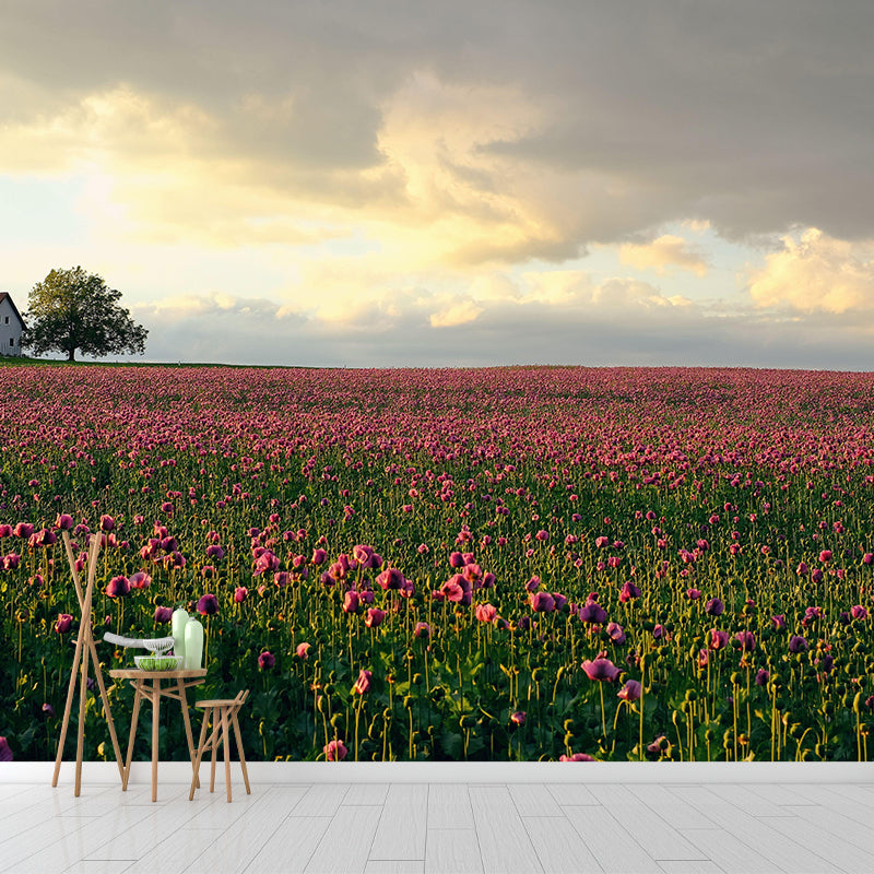 Customized Poppy Field Mural Wall Covering Decorative Mildew Resistant for Living Room