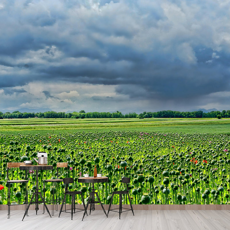 Customized Poppy Field Mural Wall Covering Decorative Mildew Resistant for Living Room