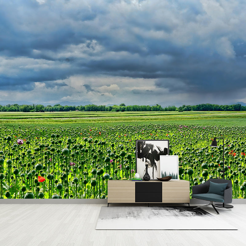 Customized Poppy Field Mural Wall Covering Decorative Mildew Resistant for Living Room