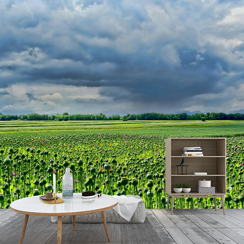 Customized Poppy Field Mural Wall Covering Decorative Mildew Resistant for Living Room