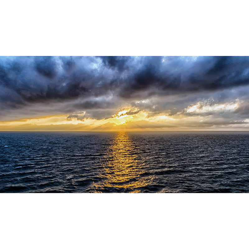 Sea Mural Wall Covering Decorative Mildew Resistant for Bathroom