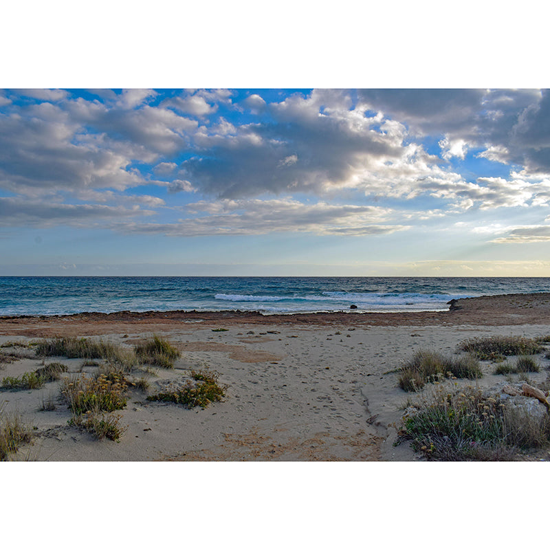 Customized Sea Mural Wall Covering Decorative Mildew Resistant for Bedroom