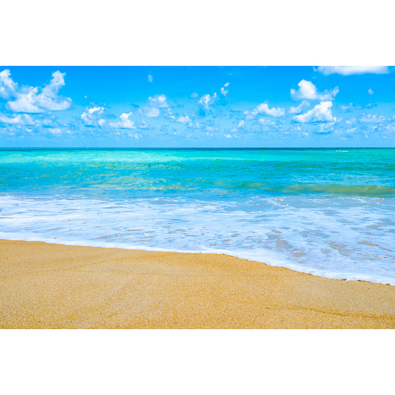 Contemporary Sea Wall Mural Environment Friendly Wallpaper for Sitting Room